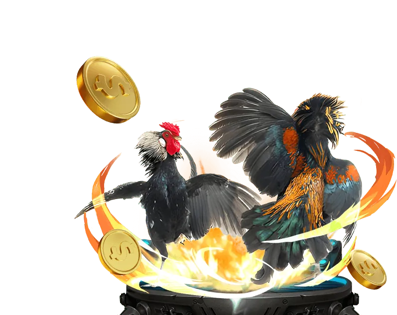 Hướng dẫn casino trực tuyến